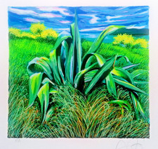 Franco Azzinari serigrafia