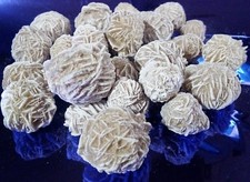 Rosa del deserto naturale - rosa,