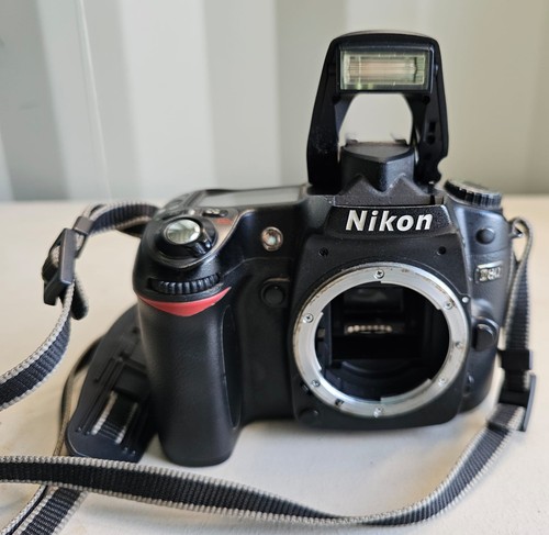Nikon d80 2 megapixel - nikon,