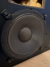 Woofer 12" da monitor da