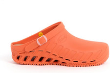 Scholl Clog Evo, Zoccoli
