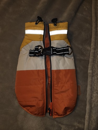 Vestito con amore giacca cane - amore,