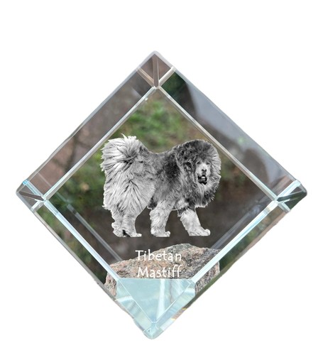 Khyi mastino tibetano - do, khyi,