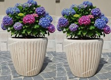 Coppia Di Vasi, Vaso rotondo
