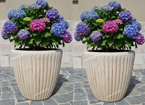Coppia vasi vaso rotondo - di,