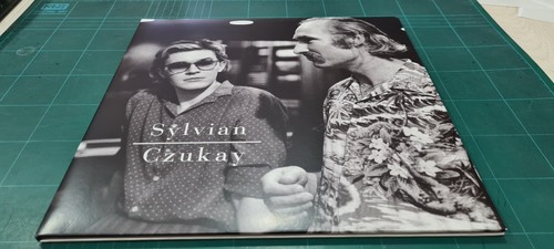 David sylvian plight - -,