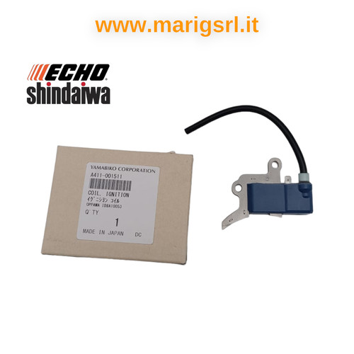 Modulo accensione echo - modulo,