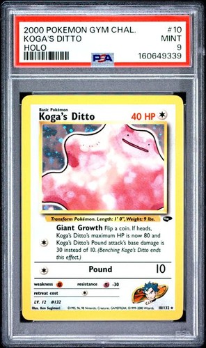 2000 pokemon gym challenge - gym, 10