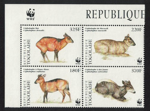 Togo wwf duikers africa - wwf,