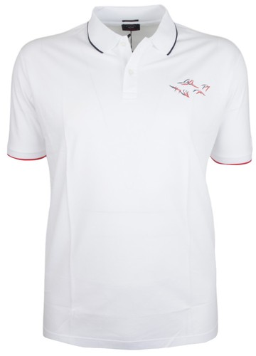 Polo uomo paul - uomo, shark