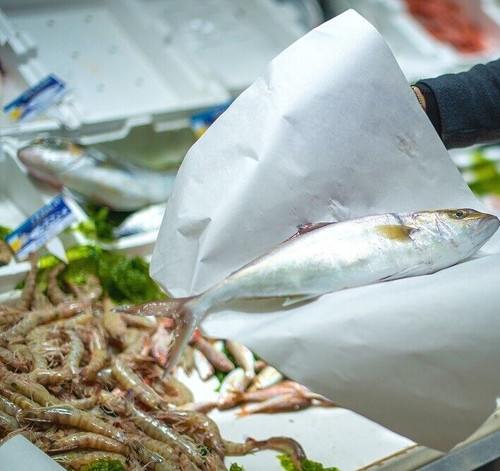 Carta vegetale per - carta,
