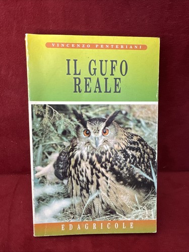 Gufo reale vincenzo - il,