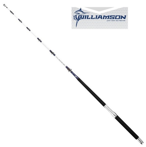 Canna traina williamson - canna,