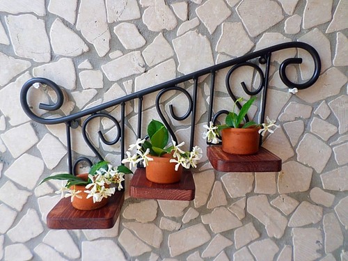 Porta vaso vasetti - porta,
