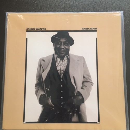 Muddy waters hard - muddy,