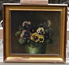 Viola Del Pensiero In Vaso –