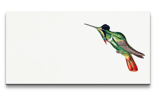 120x60cm remaster uccellino - 120x60cm,