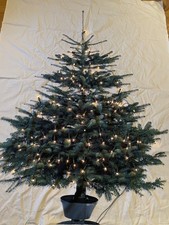 2011 IKEA LOTTA FELDT VINTER