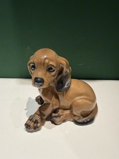 Rosenthal Cane Bassotto Dog