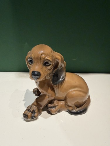 Rosenthal cane bassotto dog - bassotto,