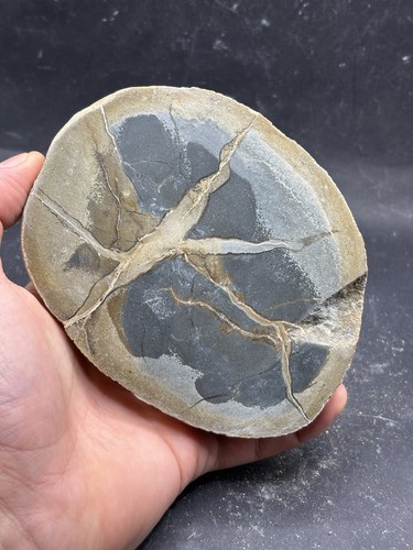 Minerali septaria panaro - minerali,
