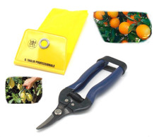 Forbici Due Buoi cogliagrumi