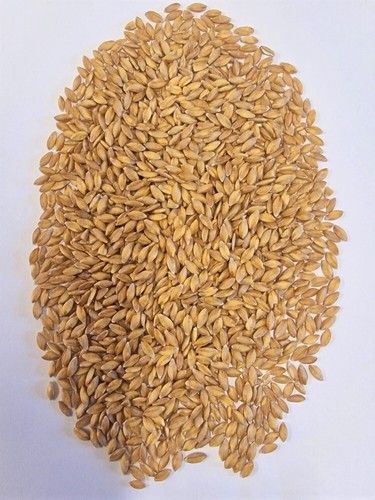 Monograno biologico