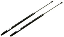 Cilindro Portellone Posteriore