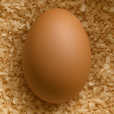 Uovo Finto Di Gallina - Anatra