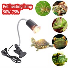 Lampadina riscaldante rettile