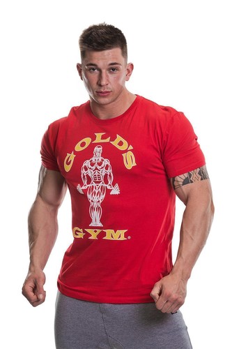 Shirt golds gym muscle joe - gym,