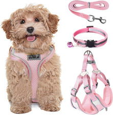 Pettorina Gatto Antifuga Con Guinzaglio Y Collare, Set Di Pettorina Gatto Cane T