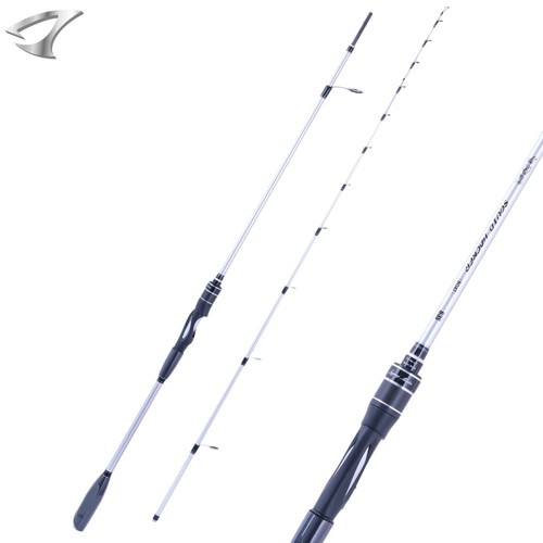 Jigging master squid - squid, fishing