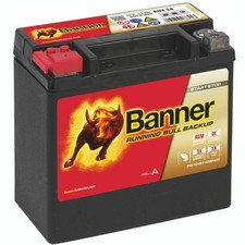 Banner running bull - bull, backup