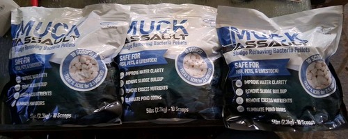 Muck assault fanghi - assault, rimozione
