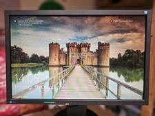 ** EIZO ** Monitor 22 pollici