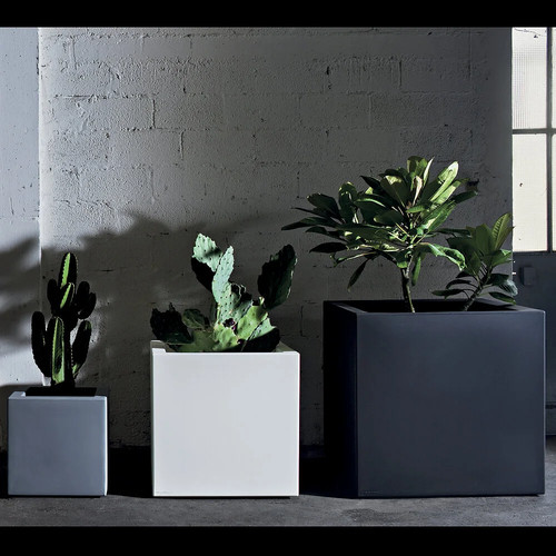 Vaso quadrato cubo - vaso, fenice