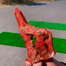 Campioni minerali marini 140G