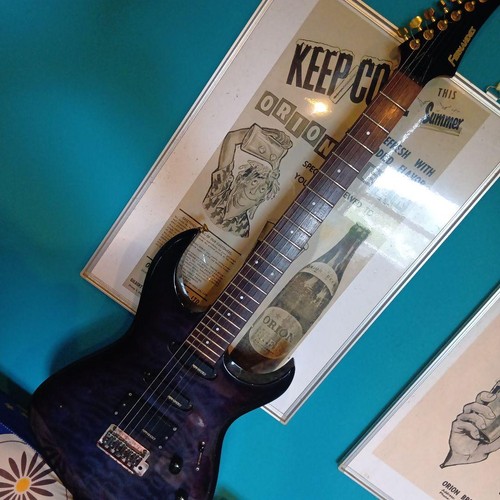 Fernandes chitarra - fernandes!,