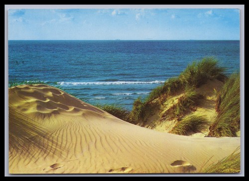 Cartolina texel olanda - cartolina,