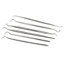 Set di utensili dentali in acciaio inox kit dentista igiene pulita 6 pezzi pl...