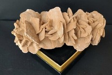 la “Rosa del deserto”-Il minerale del deserto