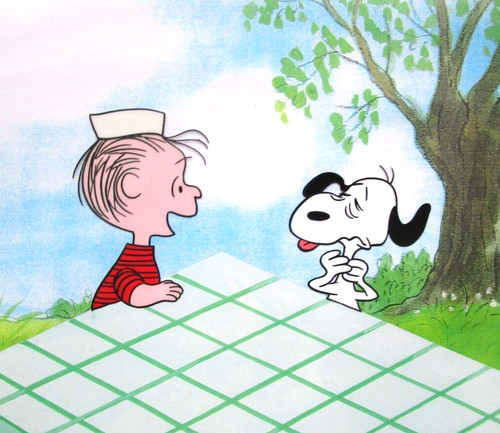 1969 snoopy charlie brown - 1969,