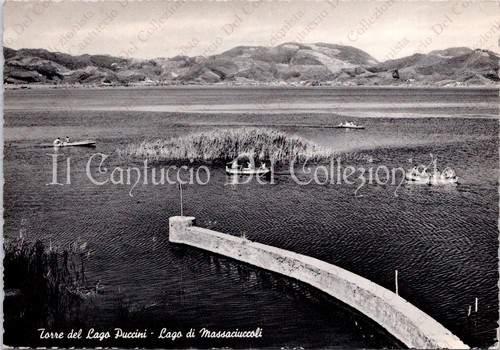 Torre del lago puccini - del,