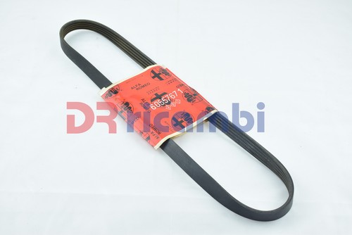 Cinghia poly alfa romeo - poly,