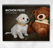 Bichon Frise Calendar 2026