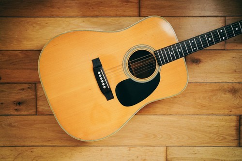 Takamine elite 1975 - elite,