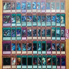 The Secret Forces, Wing