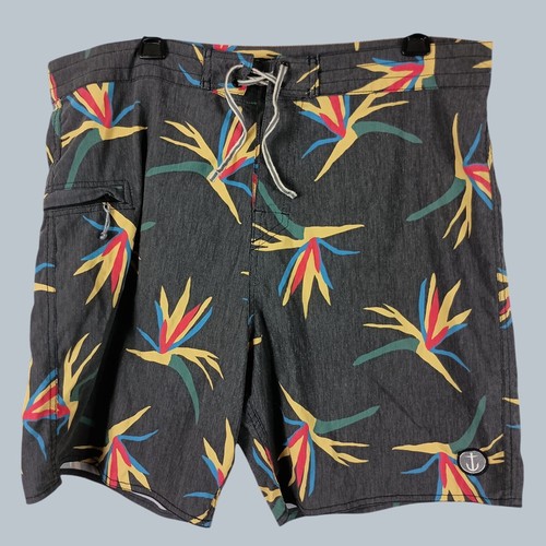 Captain fin bird paradise - bird,