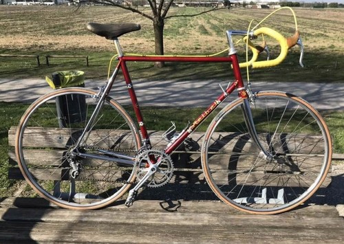Stelbel rodano 1989 - rodano, 100%